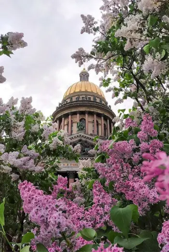 Исаакиевский собор в Санкт-Петербурге Весна