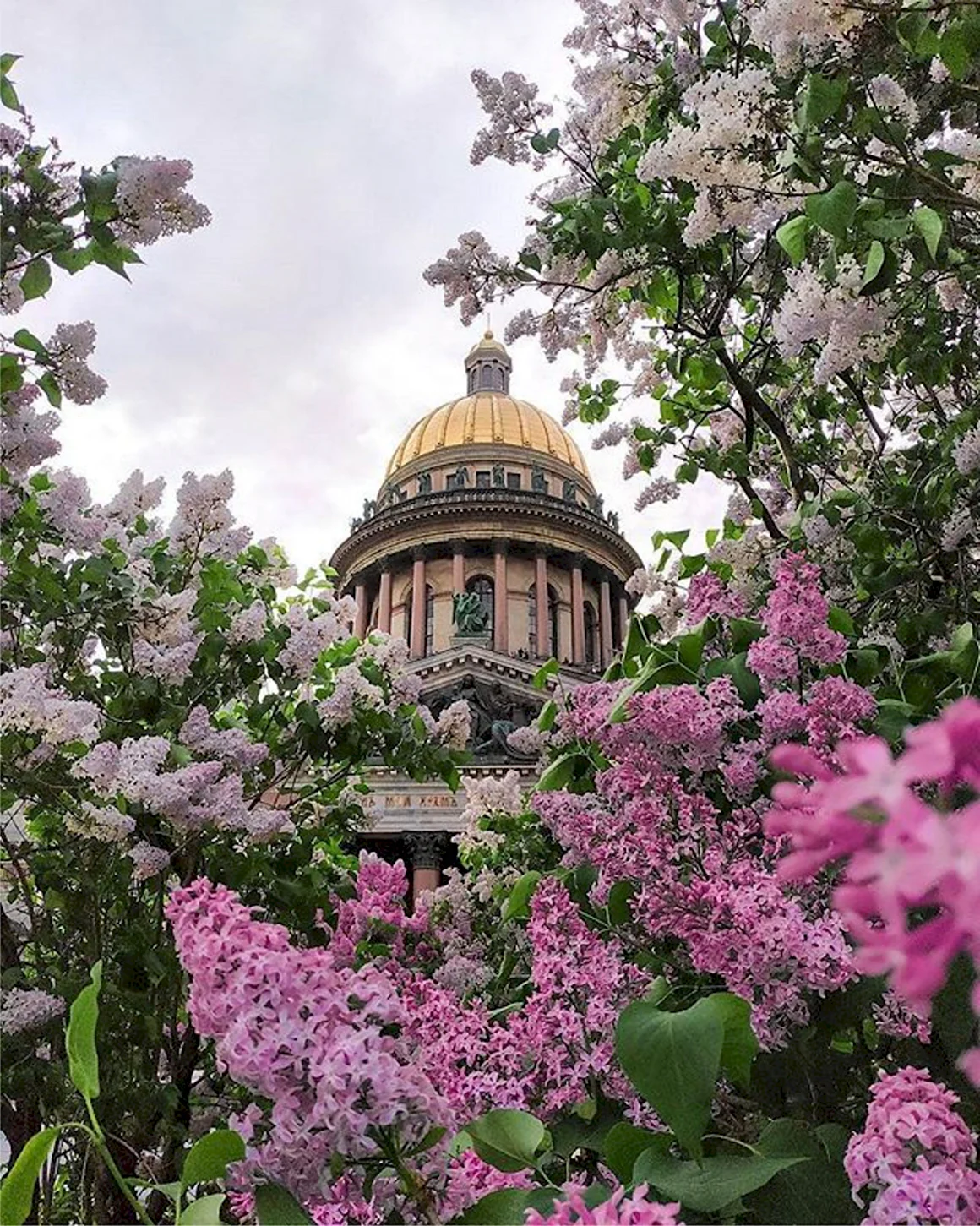 Исаакиевский собор в Санкт-Петербурге Весна
