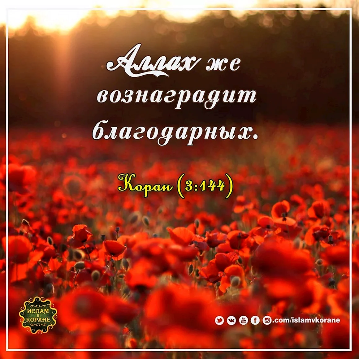 Исламские статусы