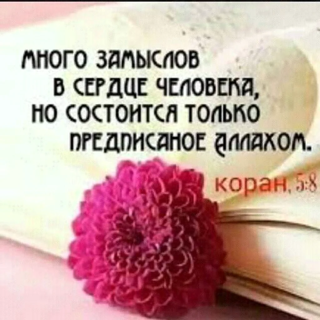 Исламские цитаты