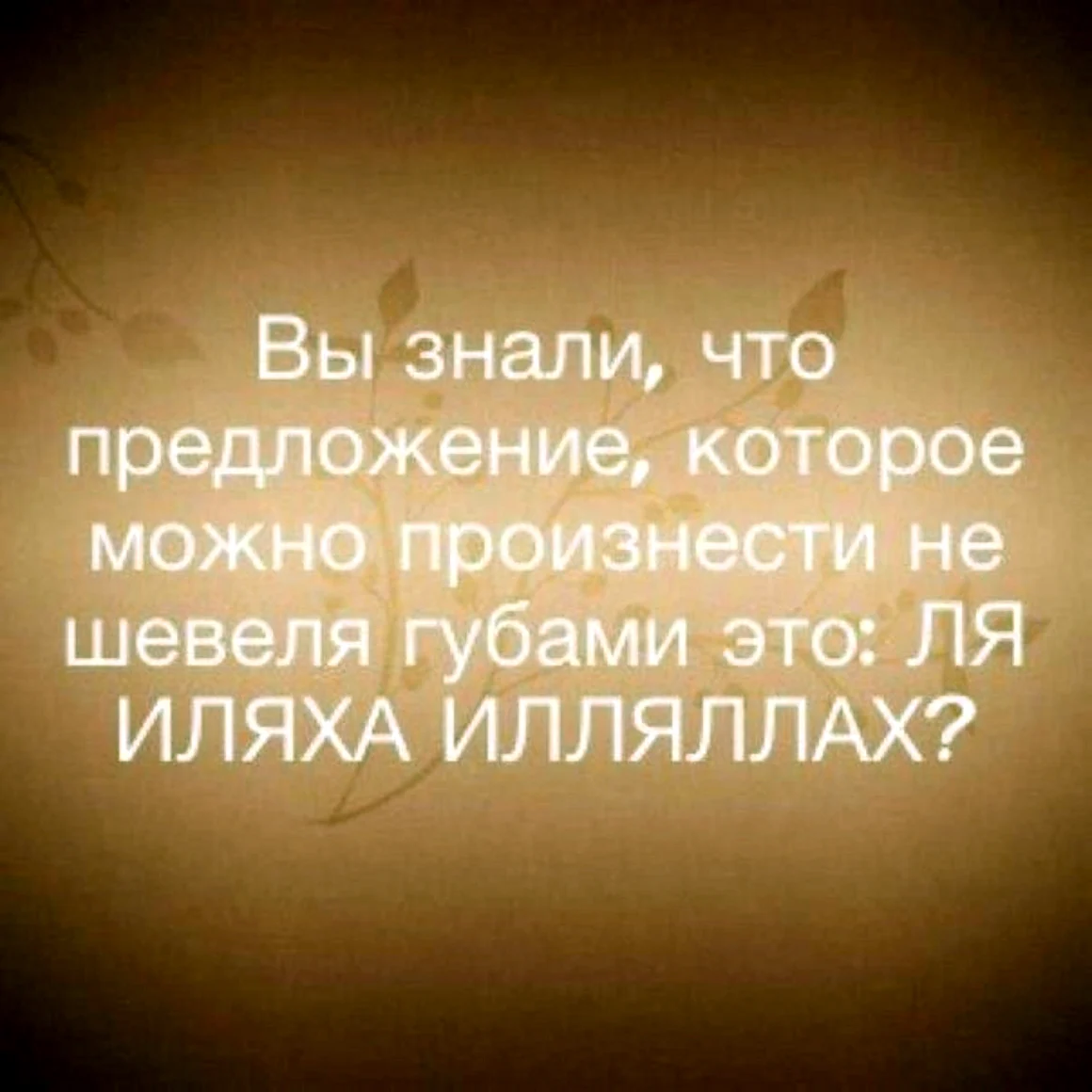 Истина в Исламе мудрости жизни