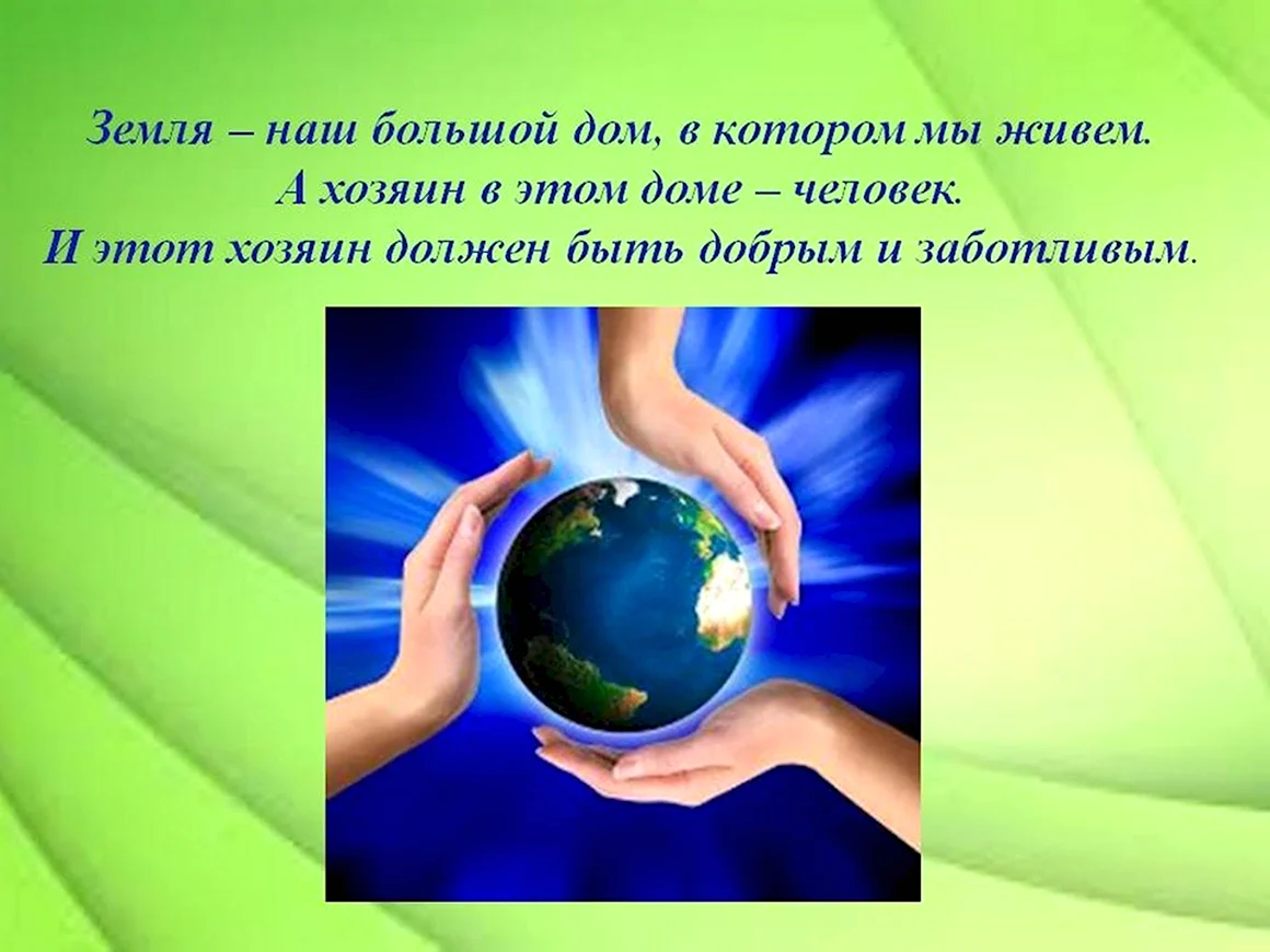 Источники экологического права