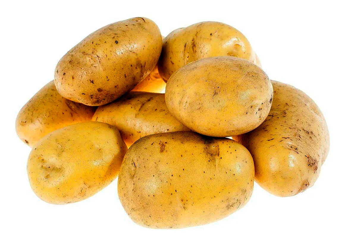 Юкон Голд картофель
