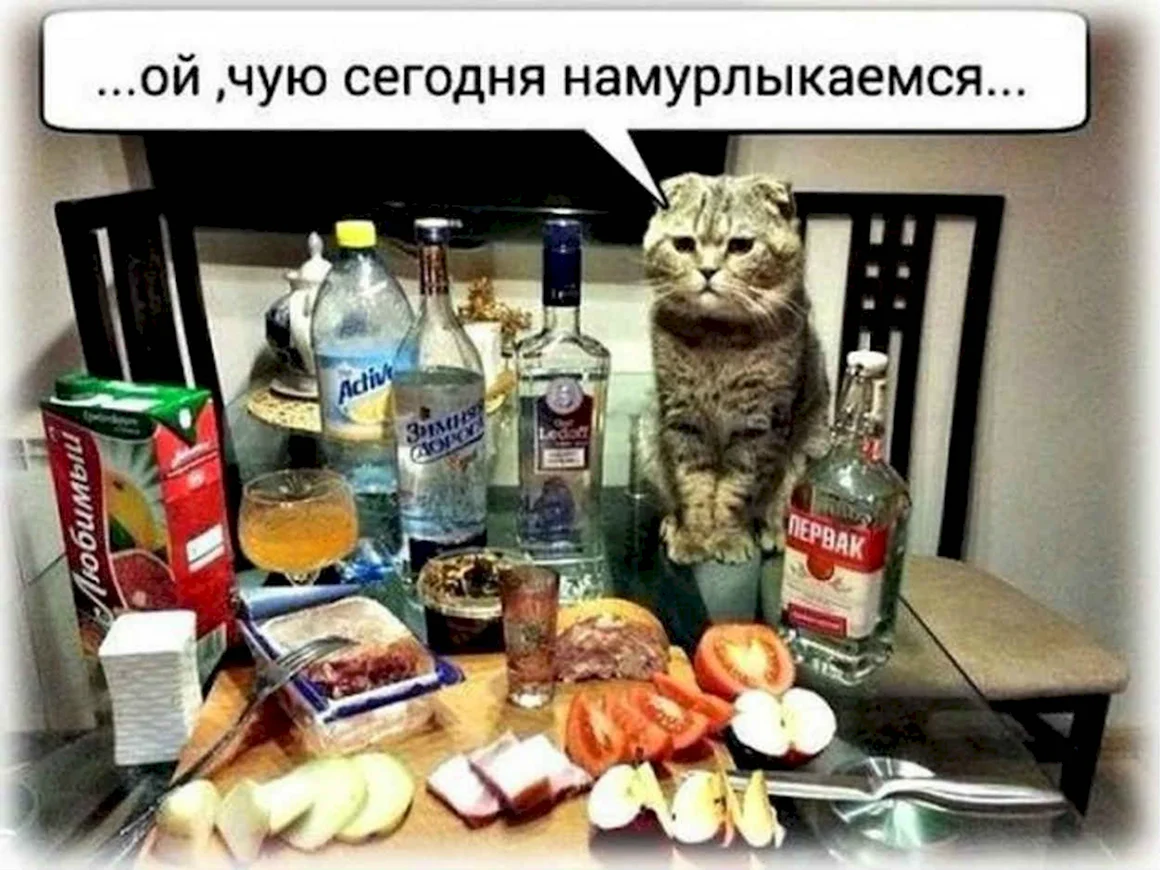 Юмор про алкоголь