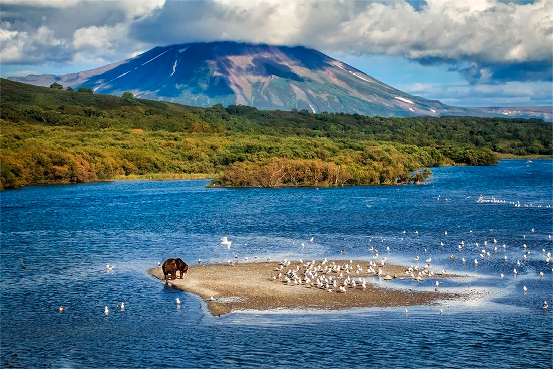 Южнокомчатский заказник