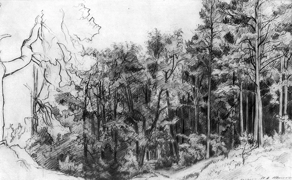 Иван Шишкин лес 1885