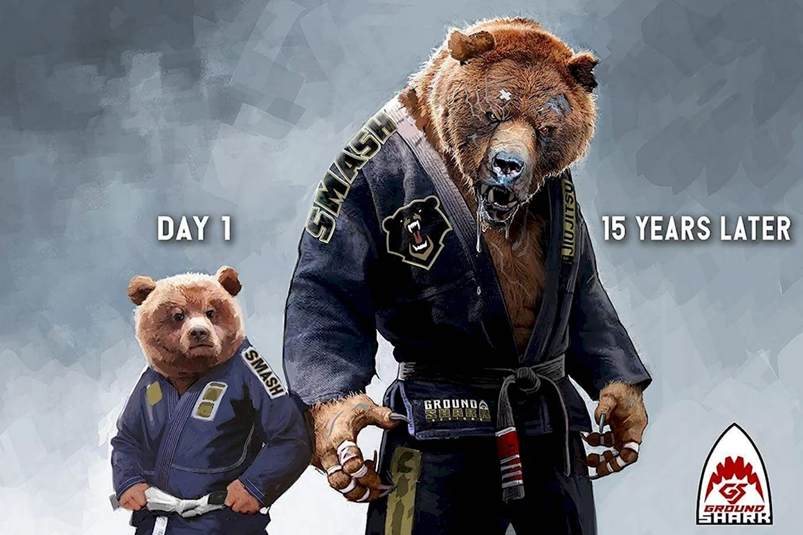 Jiu Jitsu животные медведь