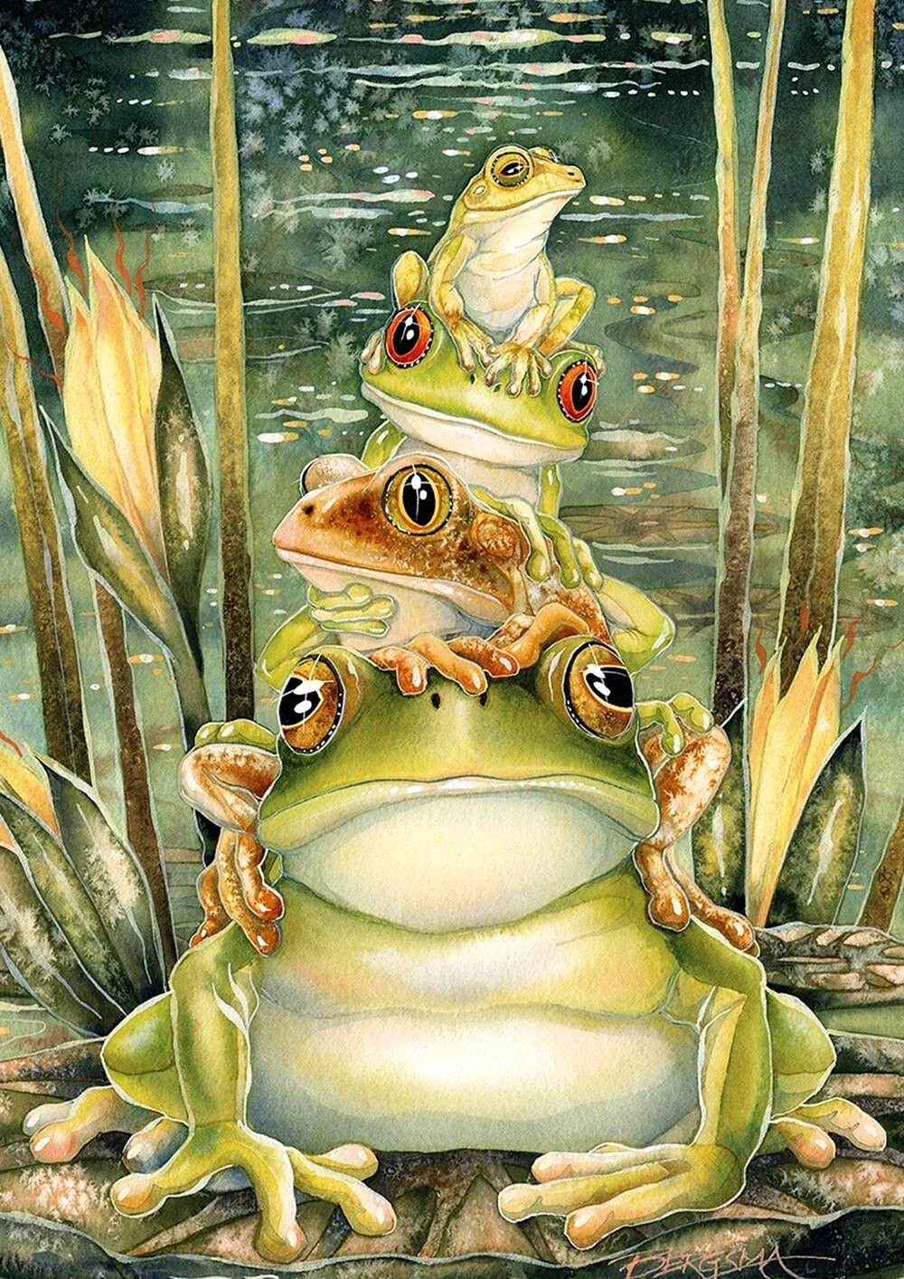 Jody Bergsma Frogs
