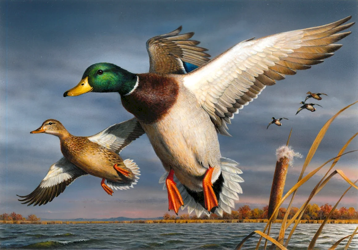 Joe Hautman художник