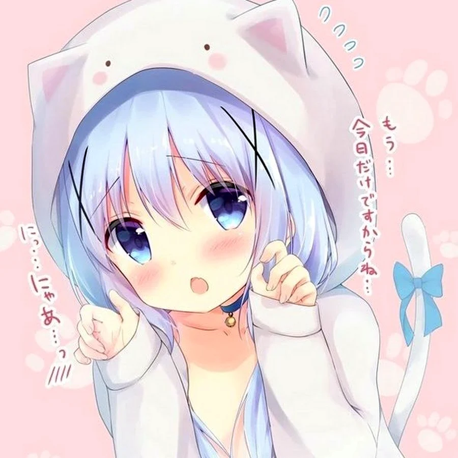 Kafuu Chino неко
