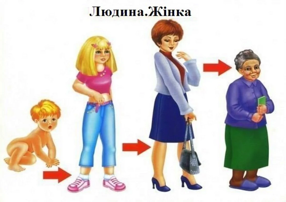 Как растет человек для детей