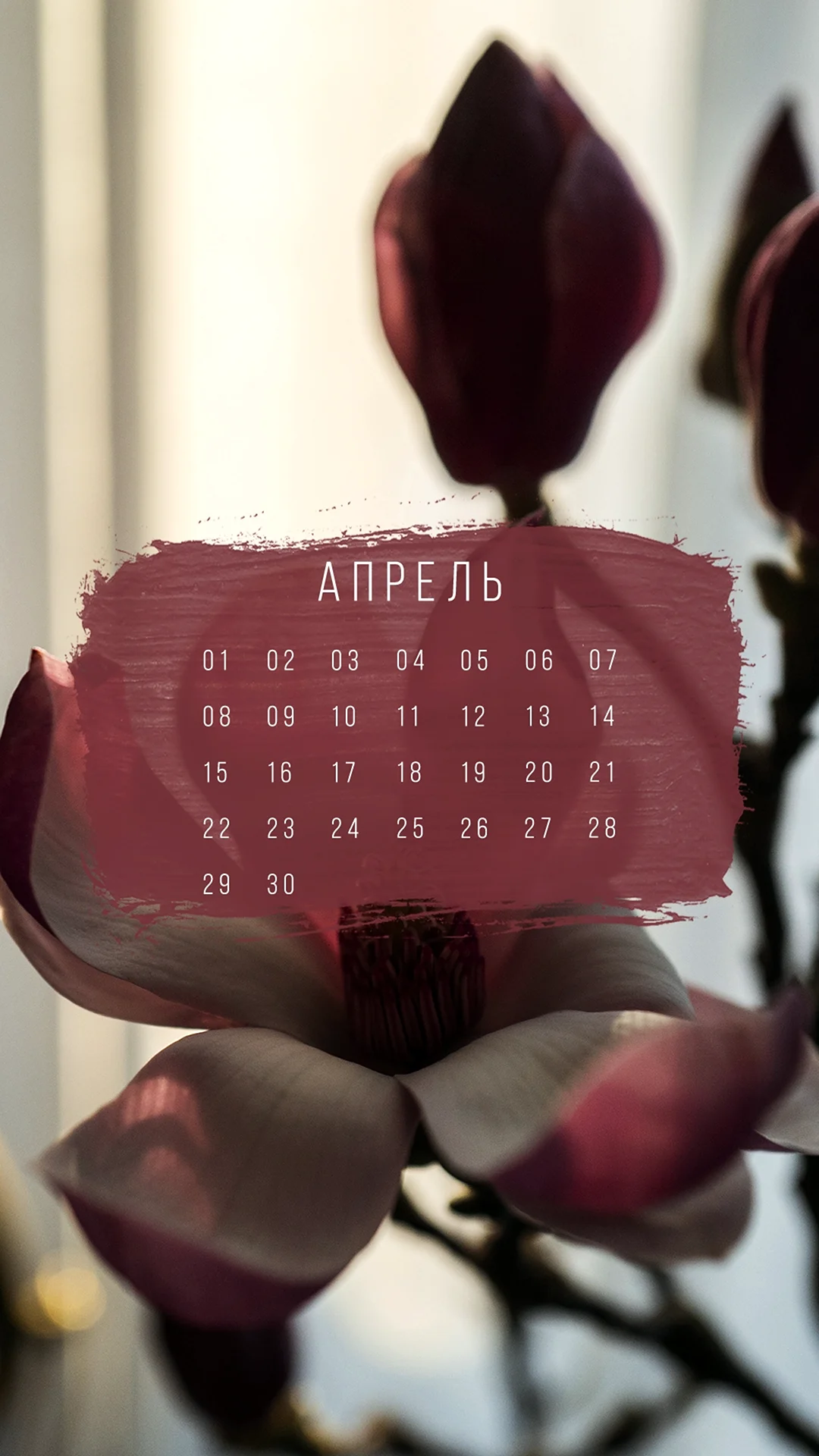 Календарь Эстетика