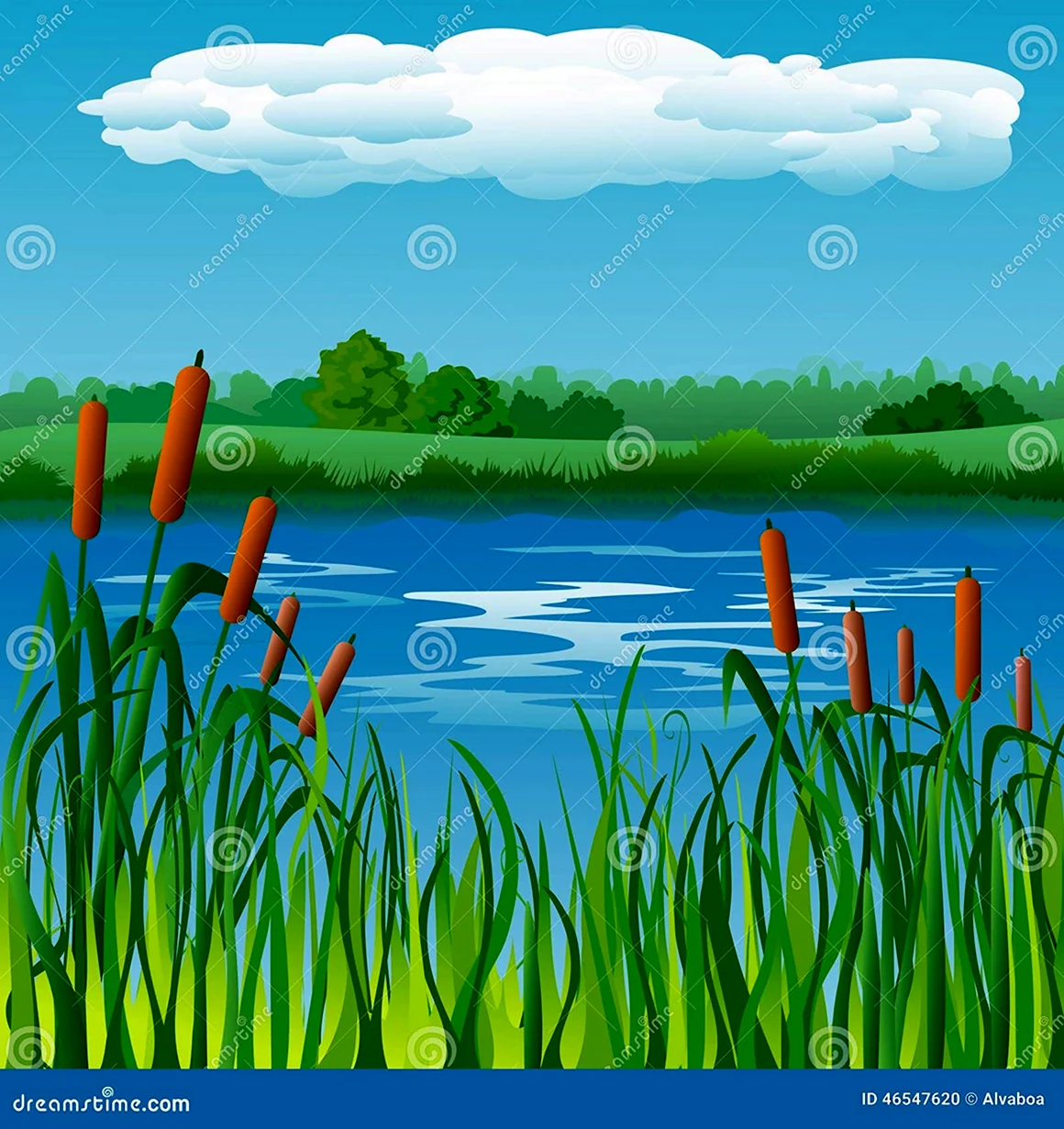 Камыши фон