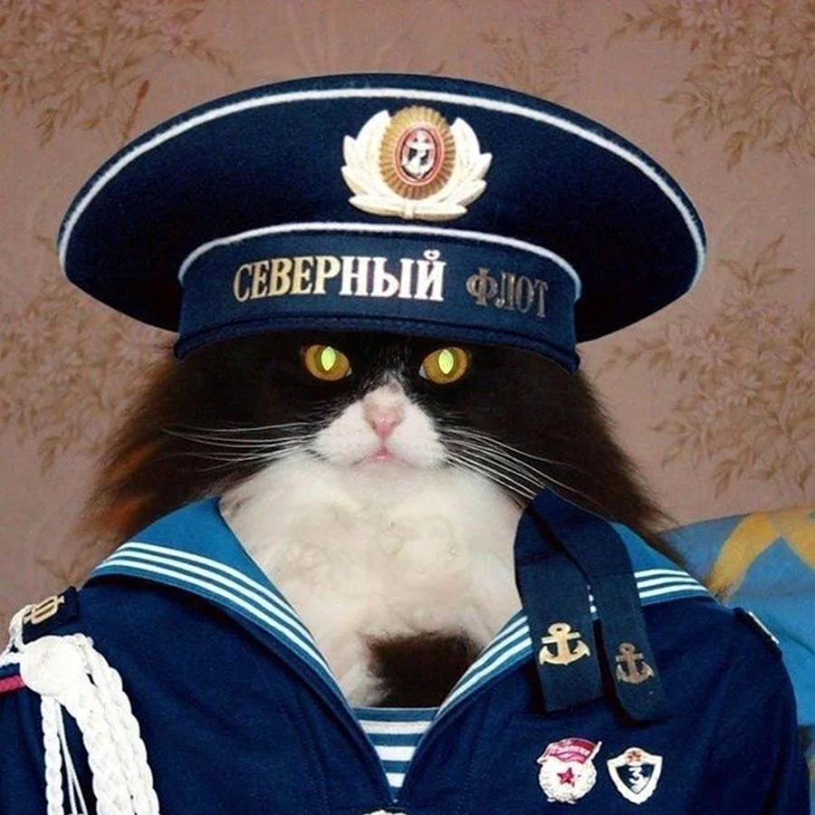 Капитан Куськинсон