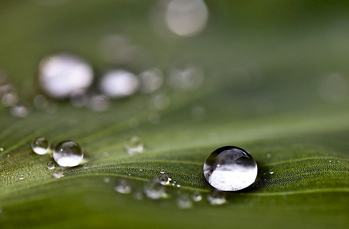 Капли воды