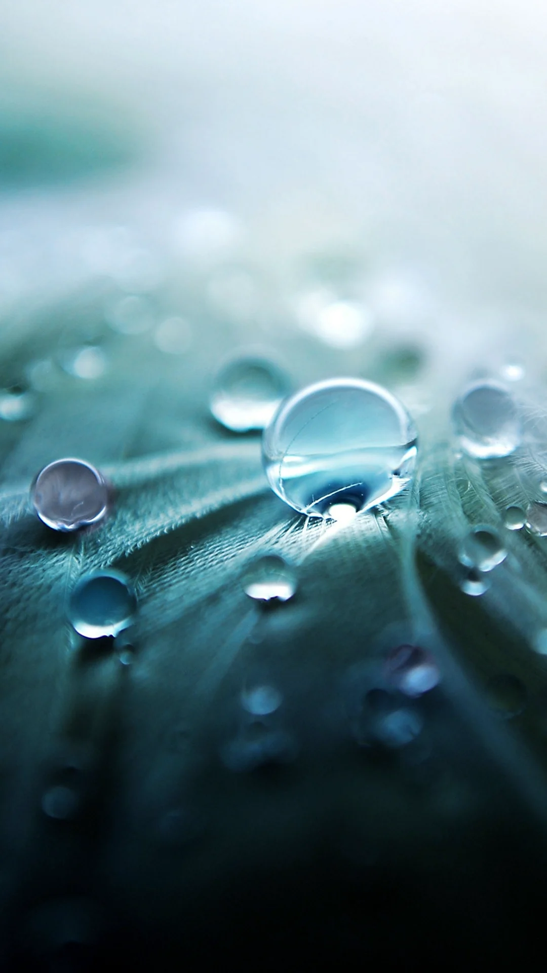 Капли воды