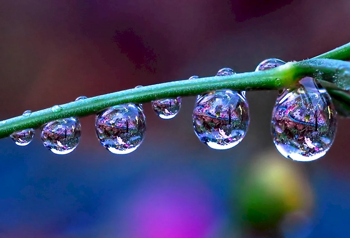 Капли воды