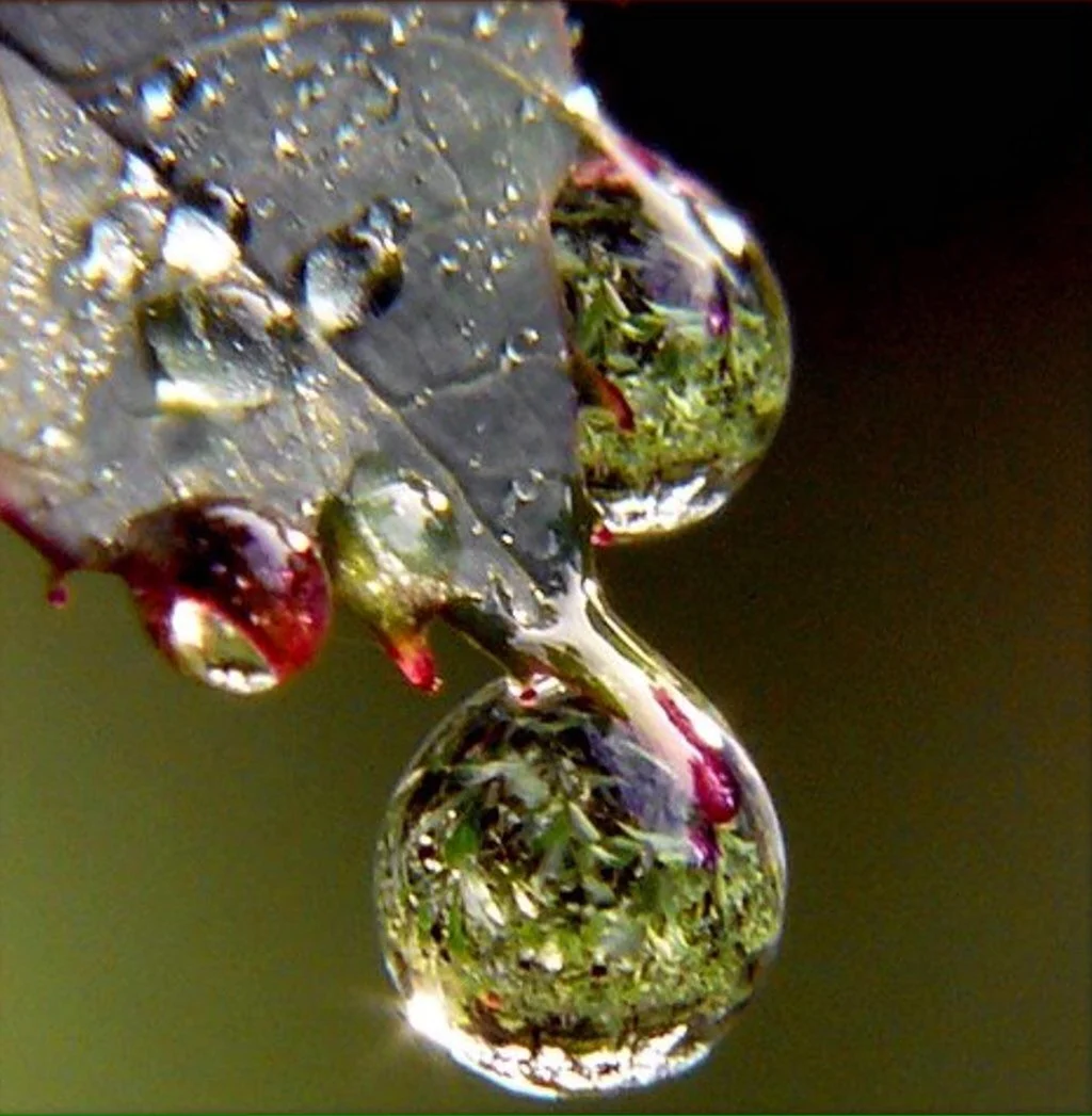 Капли воды