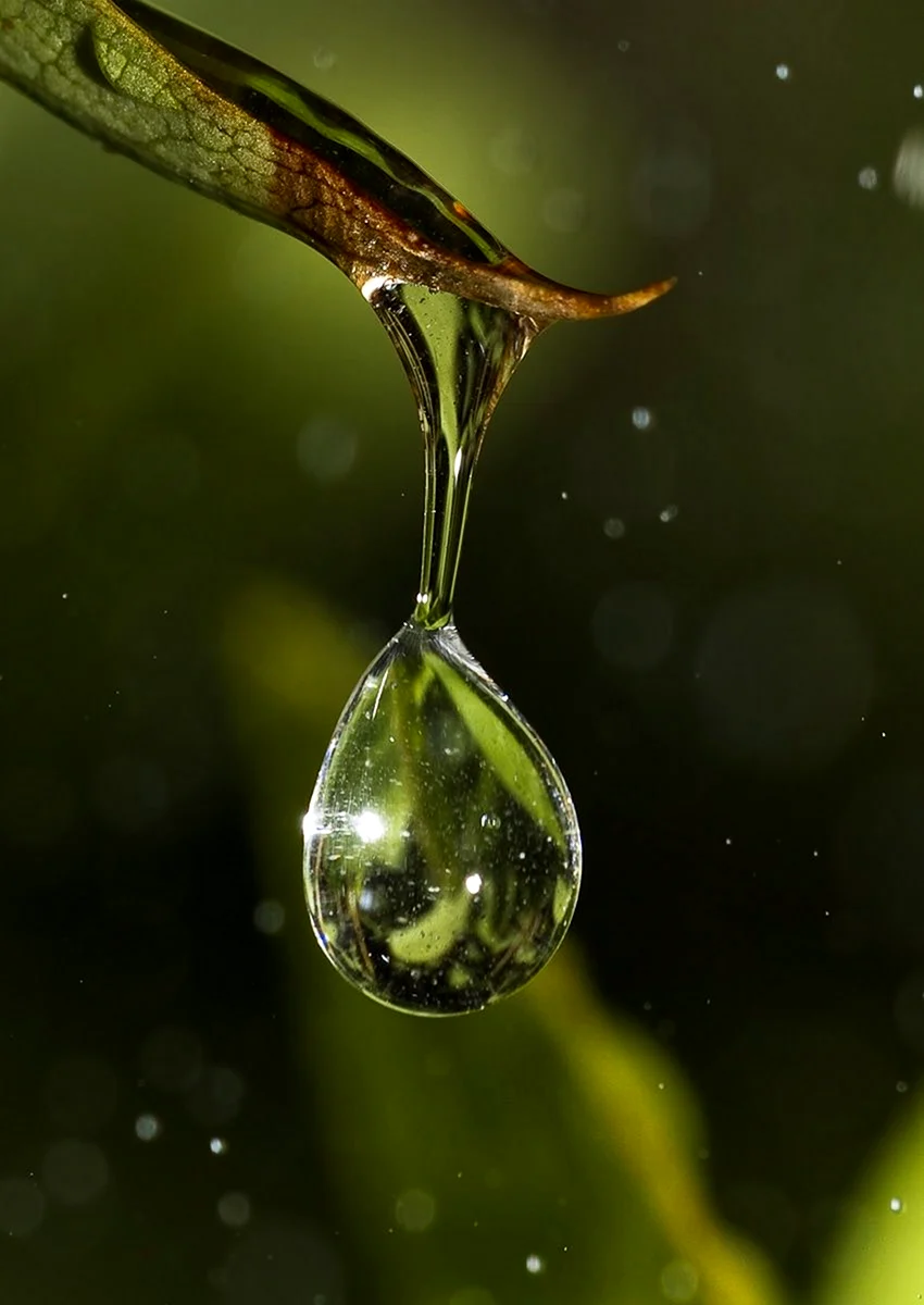 Капля воды