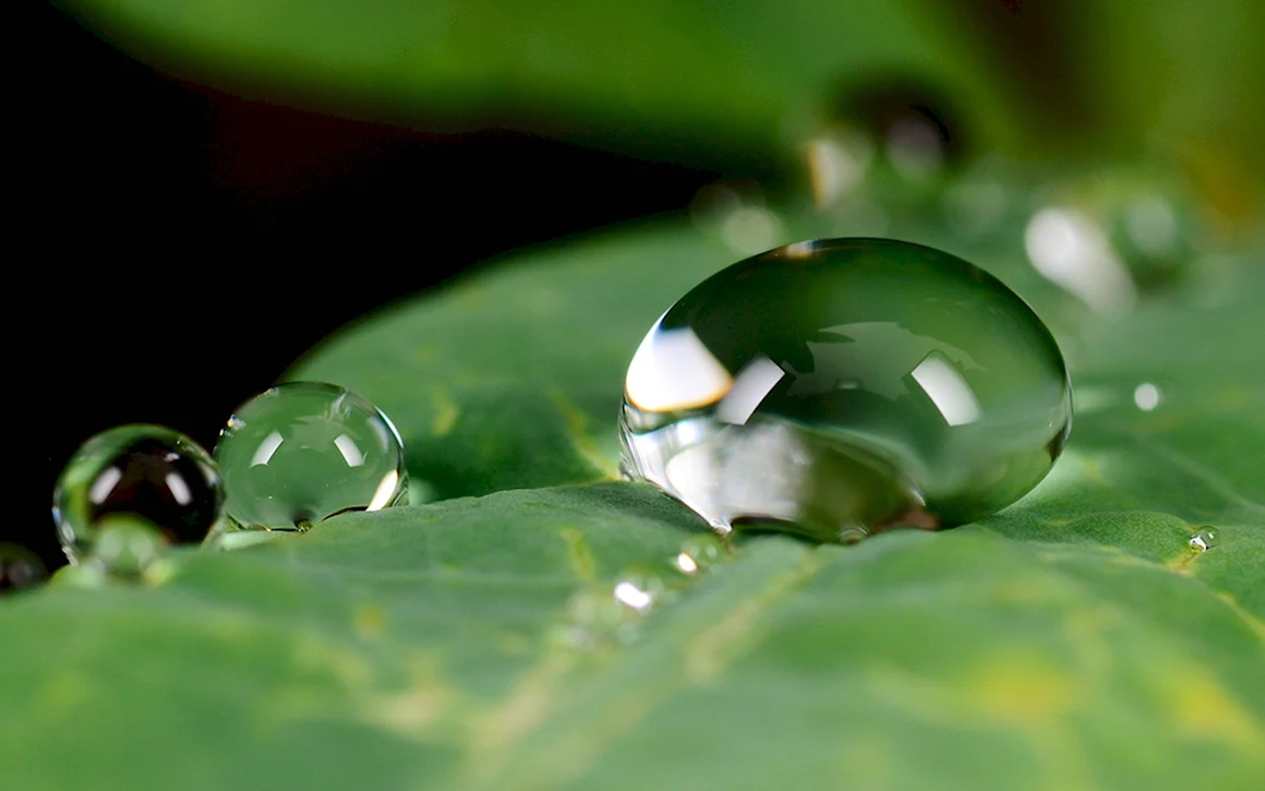 Капля воды