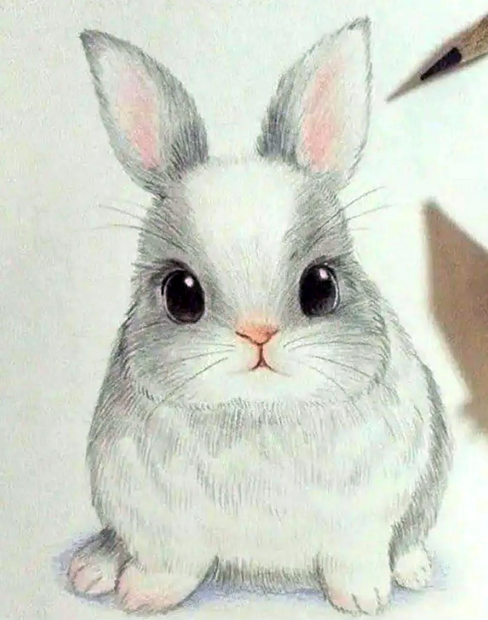 Карандаши цветные животные