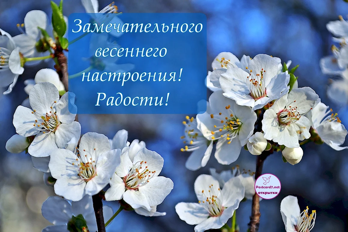 Каретников Весеннее настроение