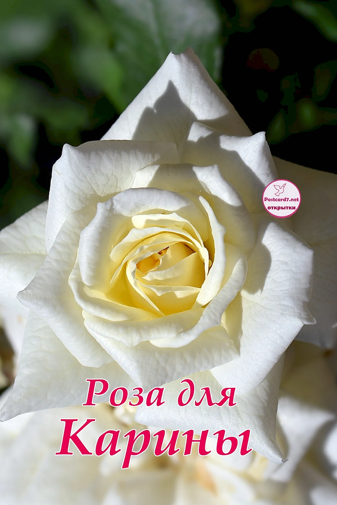 Карина открытки