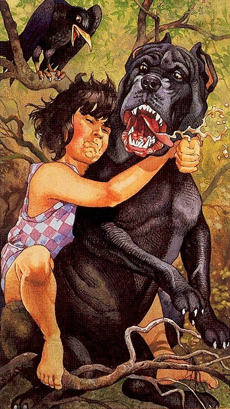 Карта Таро сила