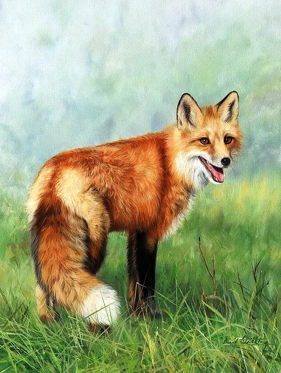 Картина лисы