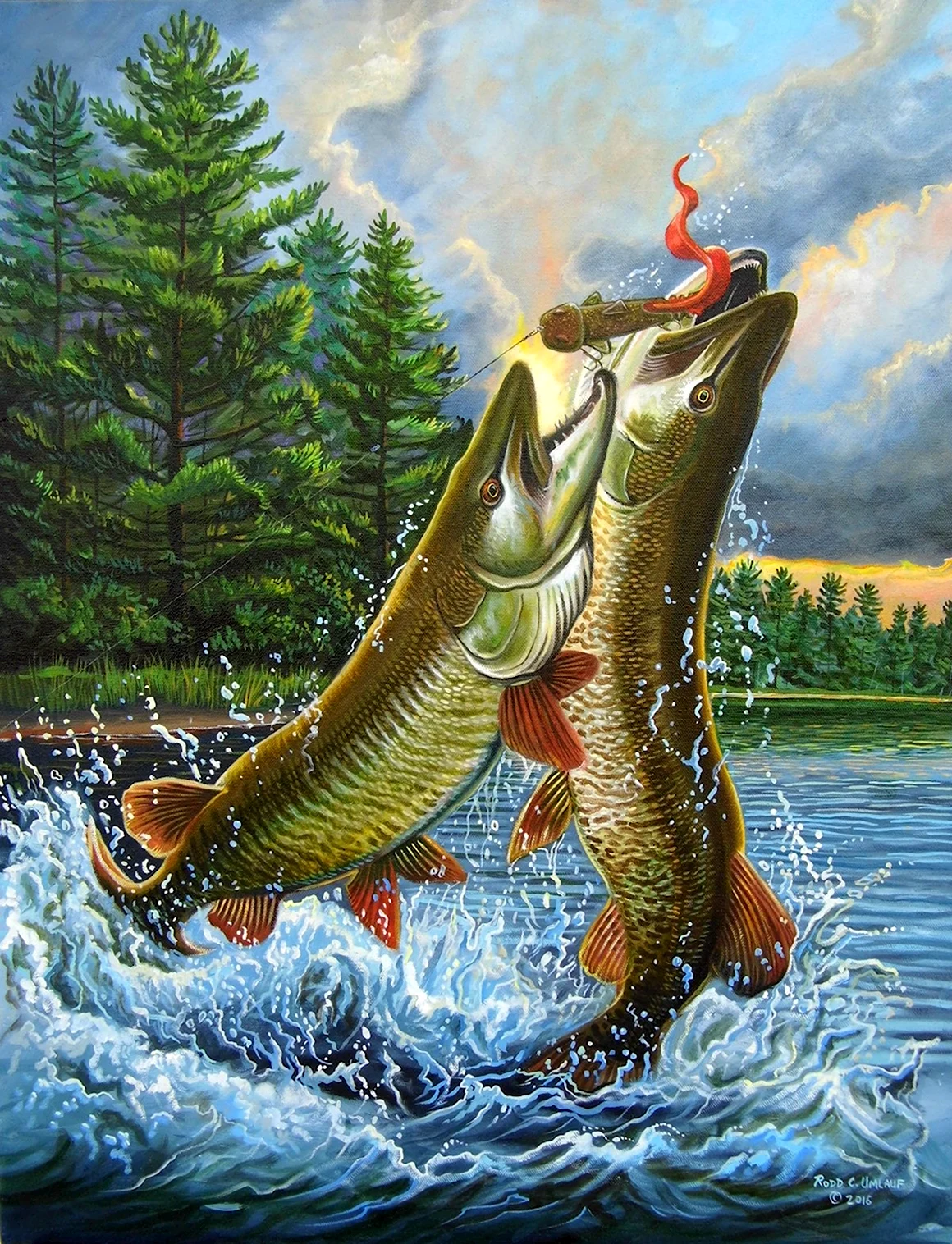 Картина щука Пайк