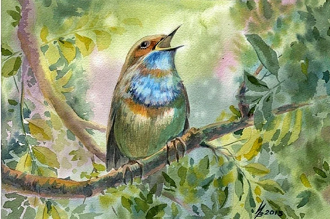 Картина варакушка птица