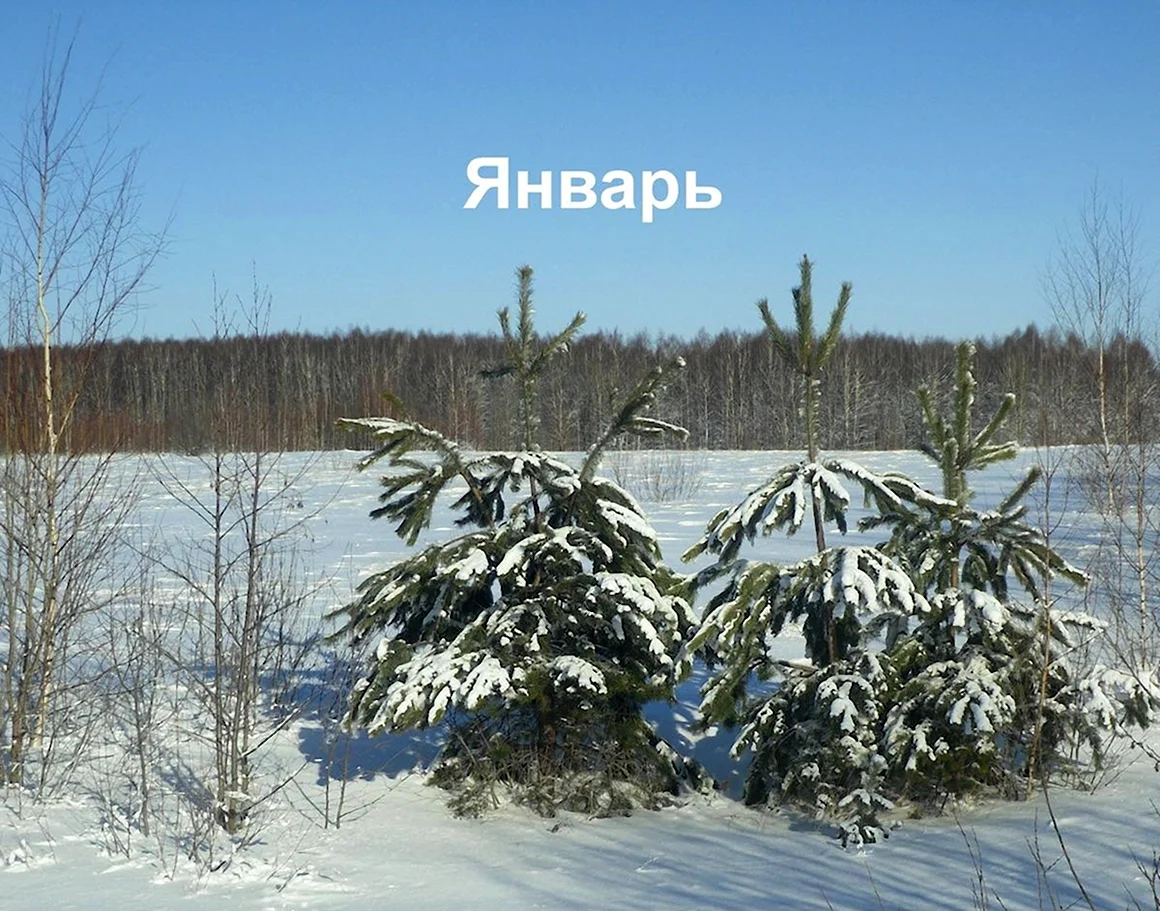 Картинки январь месяц