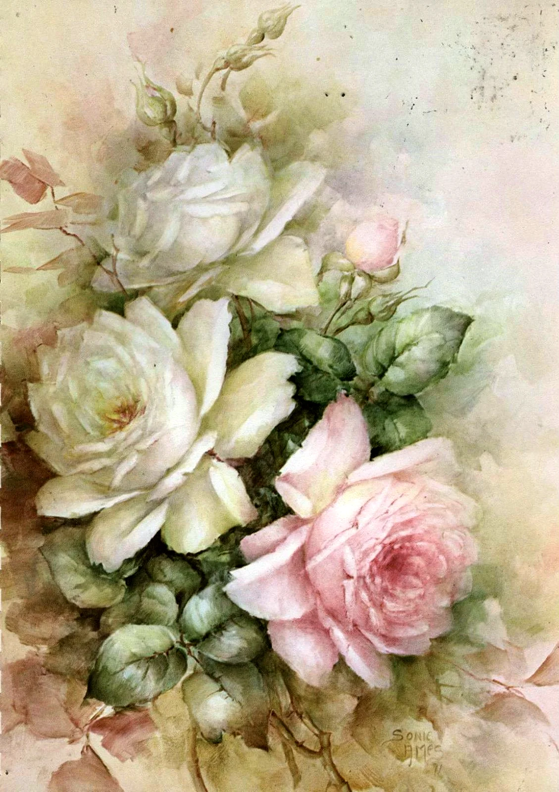 Картины Sonie Ames