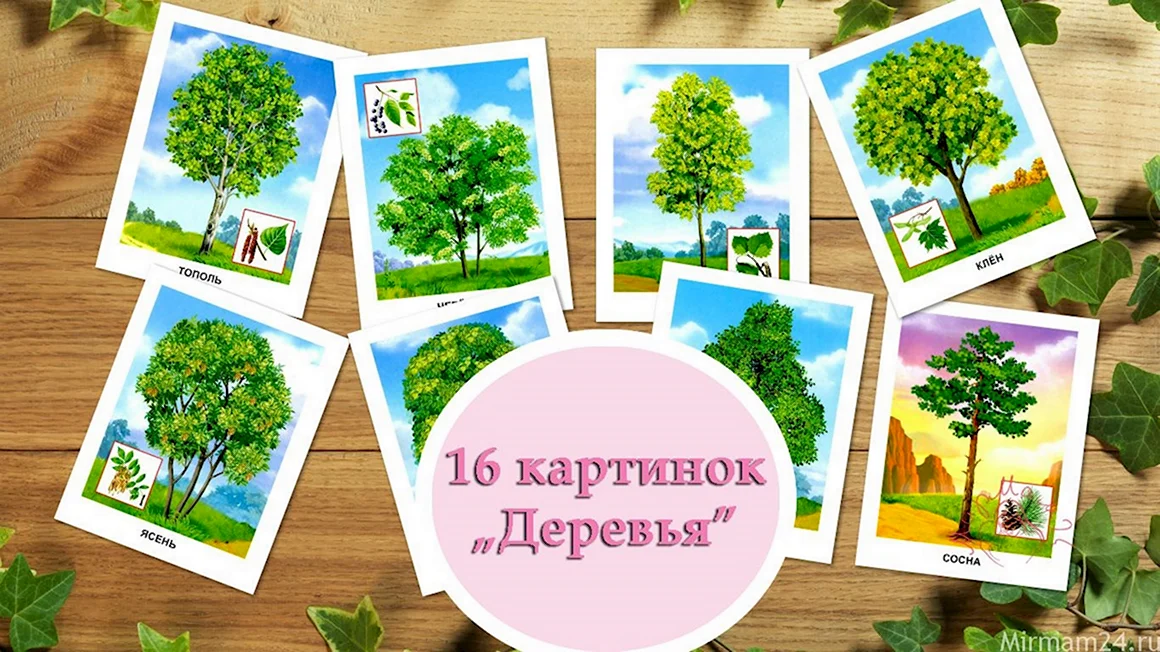 Карточки деревья для детей для занятий