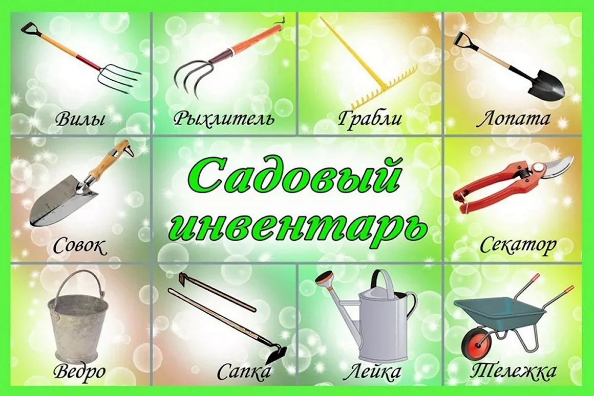 Карточки для детей садовый инвентарь