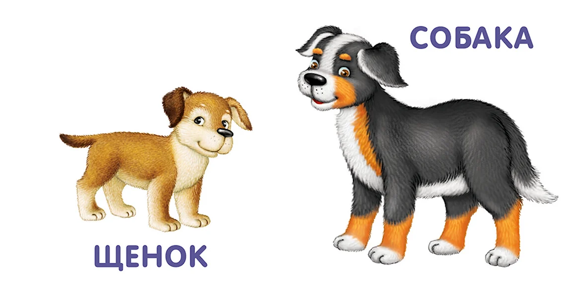 Карточки для детей щенок