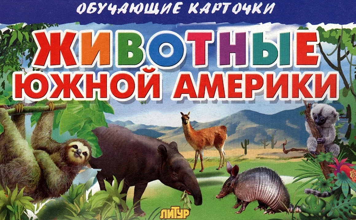 Карточки животные Южной Америки