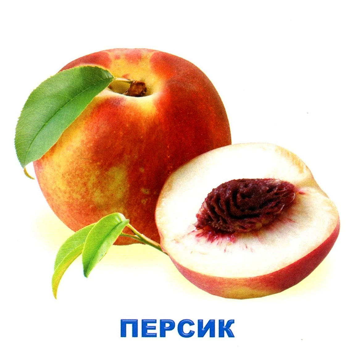 Карточки. Фрукты