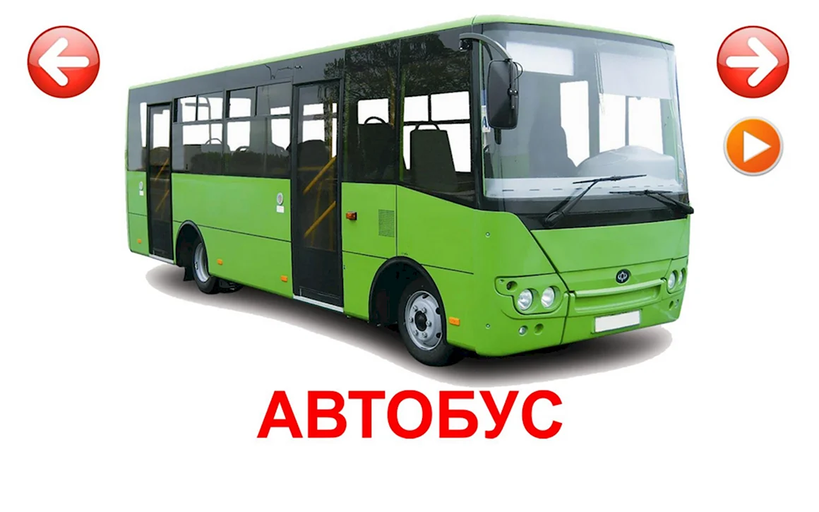 Карточки. Транспорт