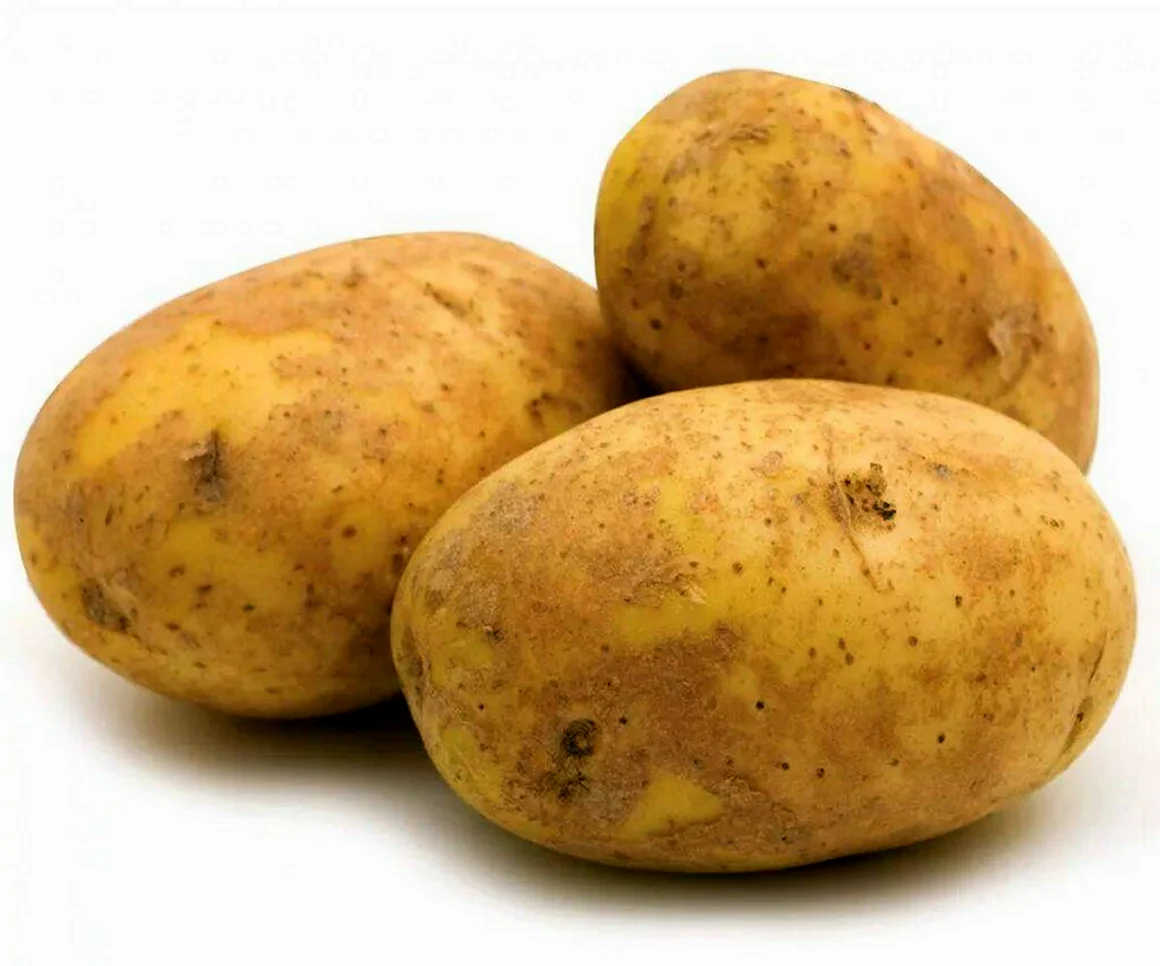 Картофель