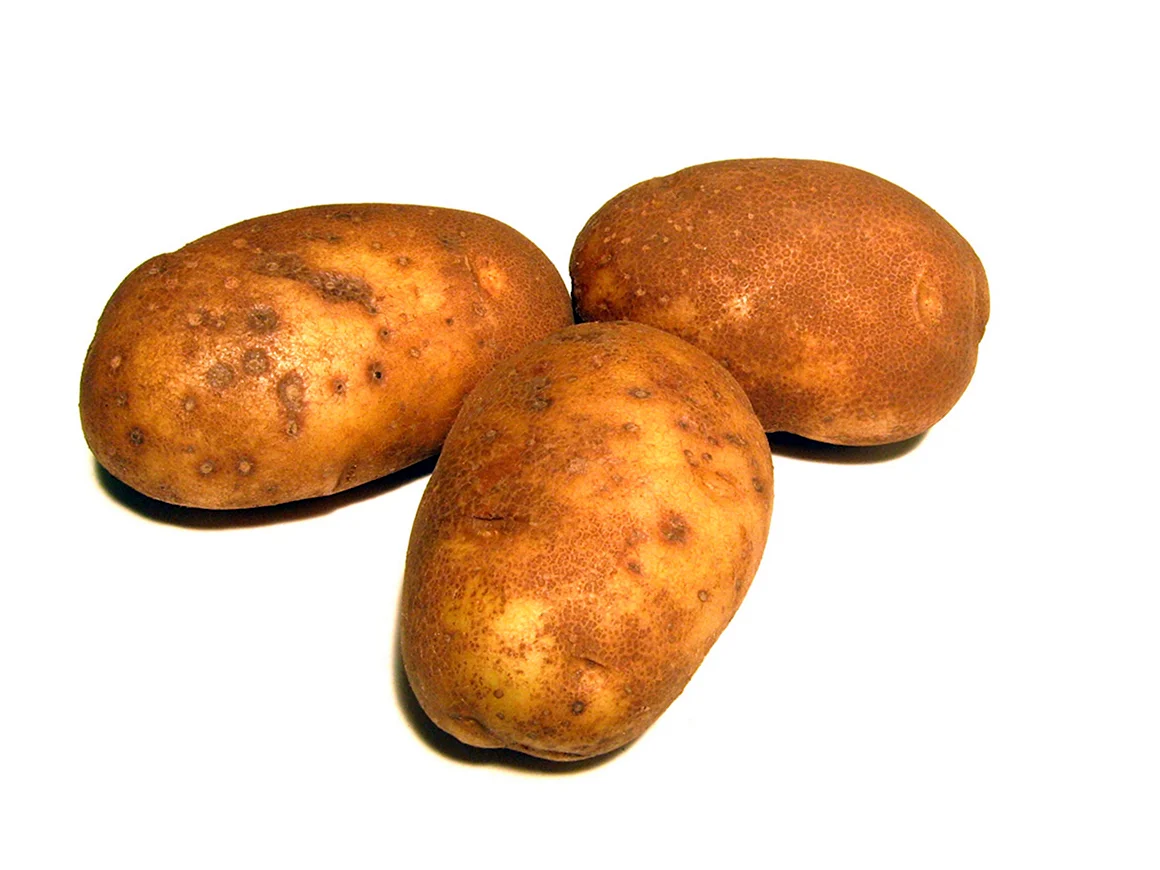 Картофель