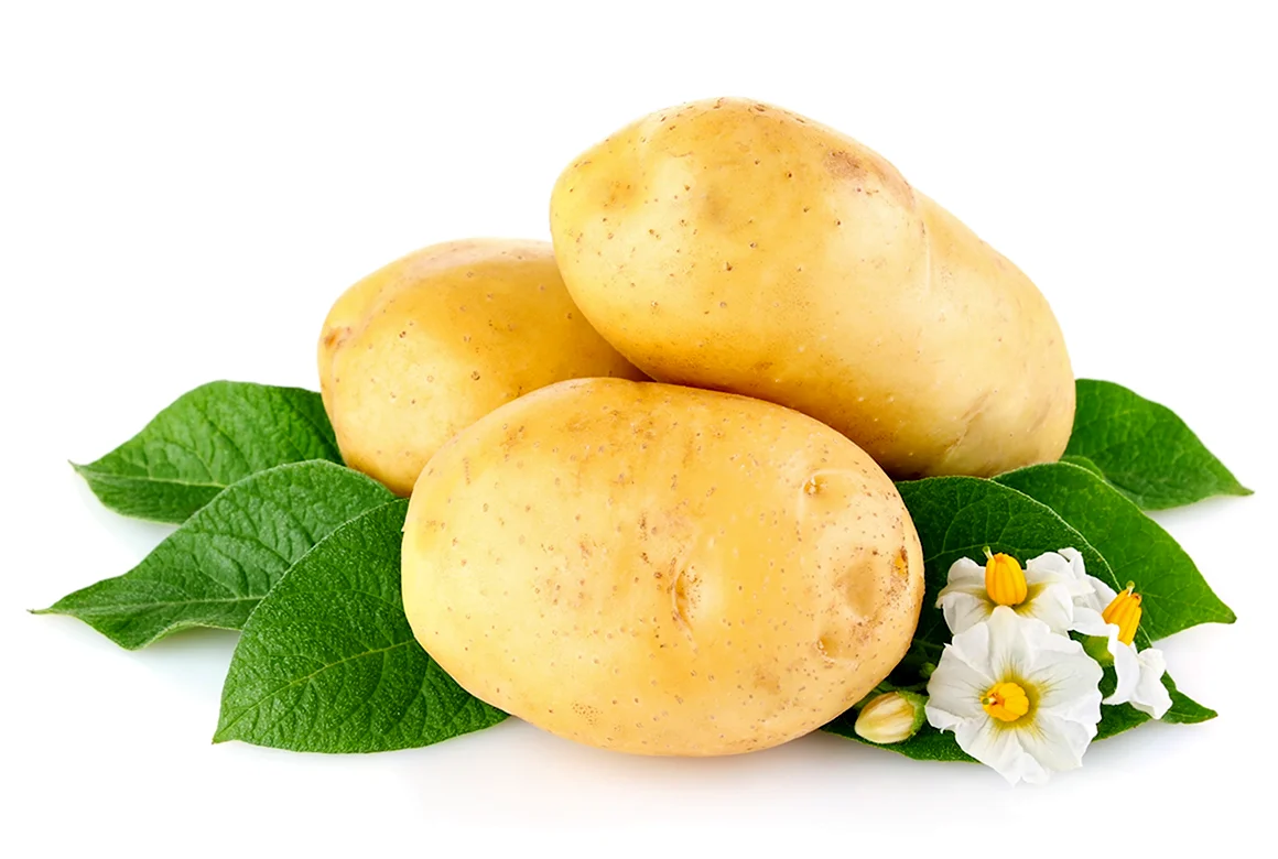 Картофель для детей