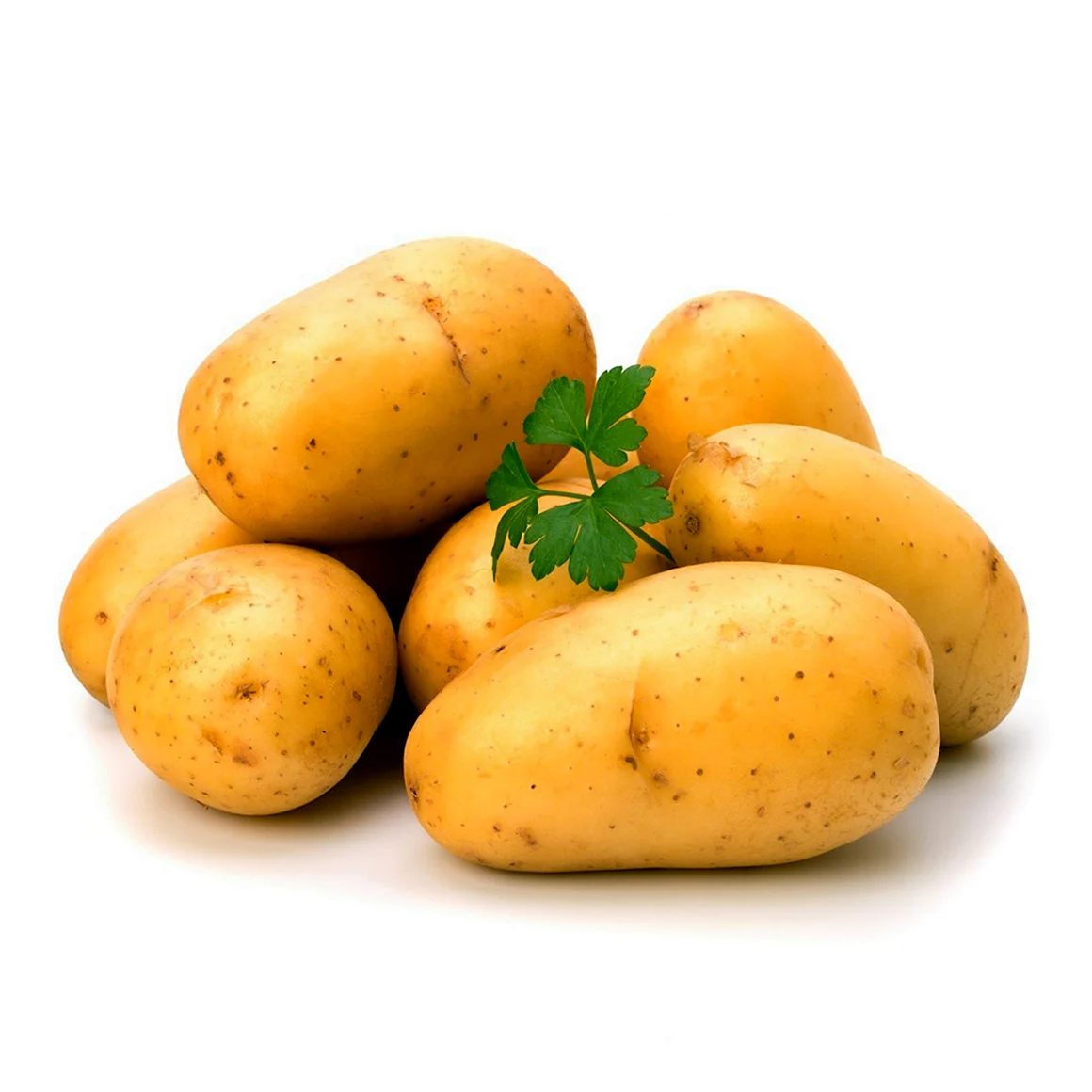 Картофель Лина