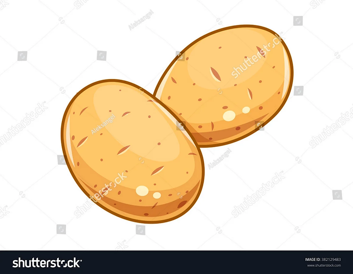 Картофель на белом фоне нарисованная