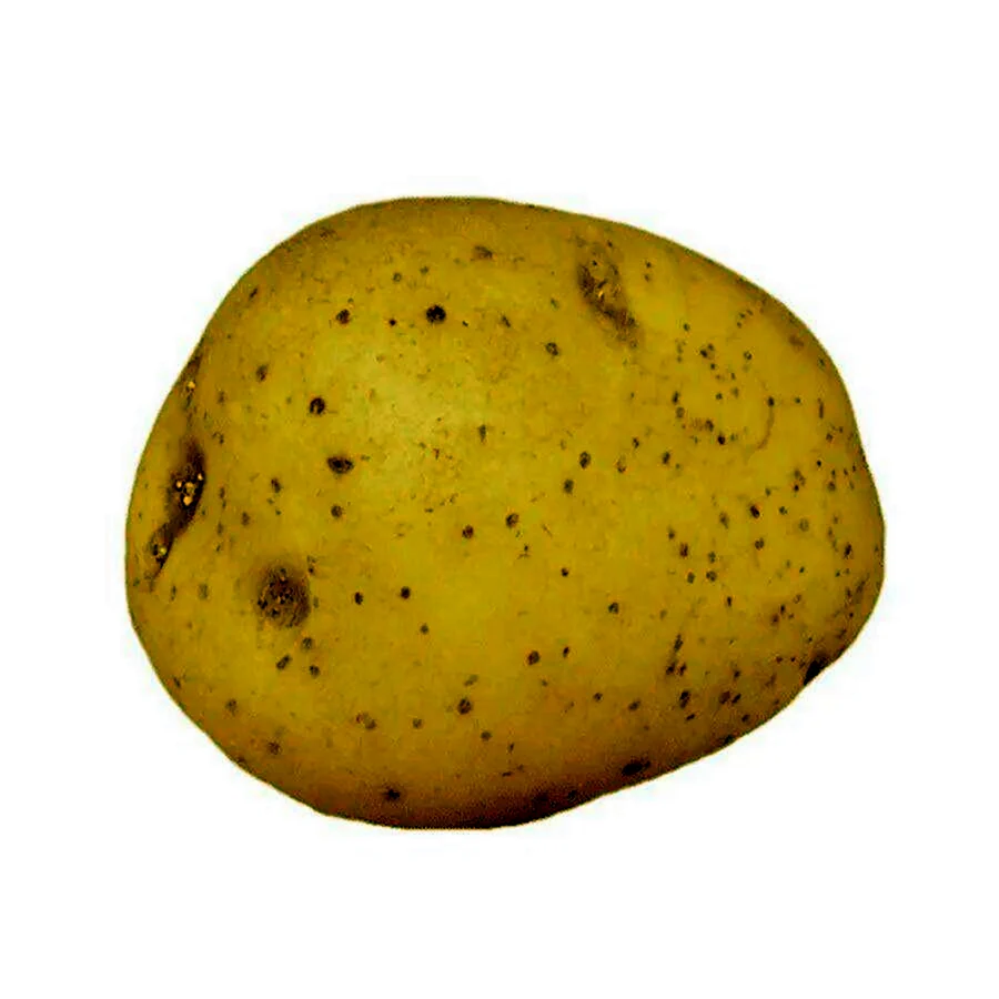Картошка