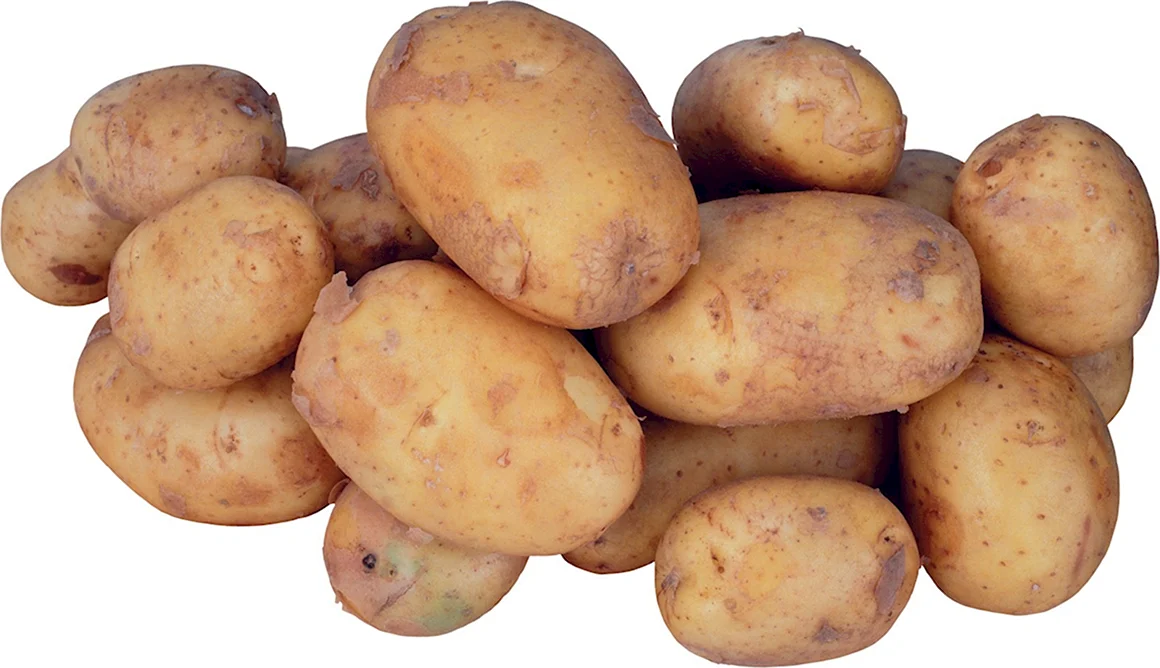 Картошка