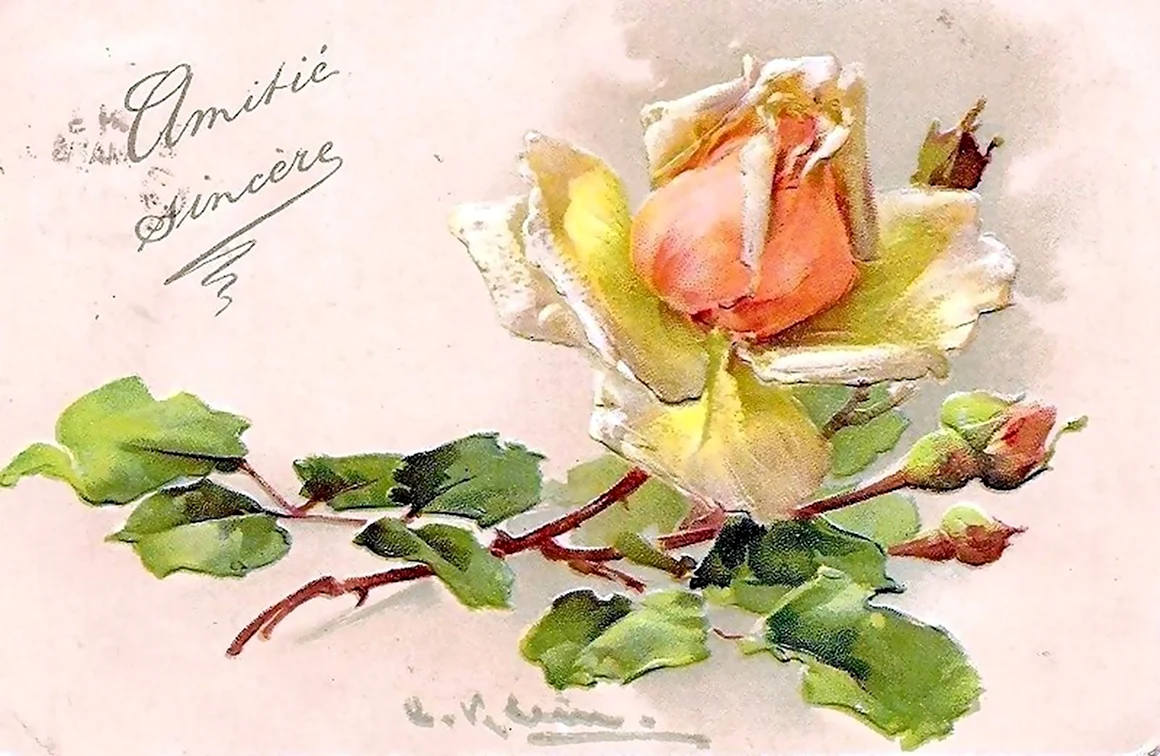 Катарина Кляйн - Catharina Klein 1861-1929. Германия
