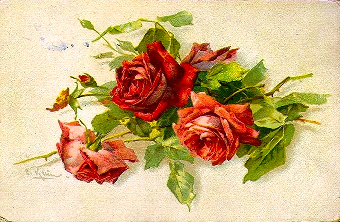 Катарина Кляйн открытки