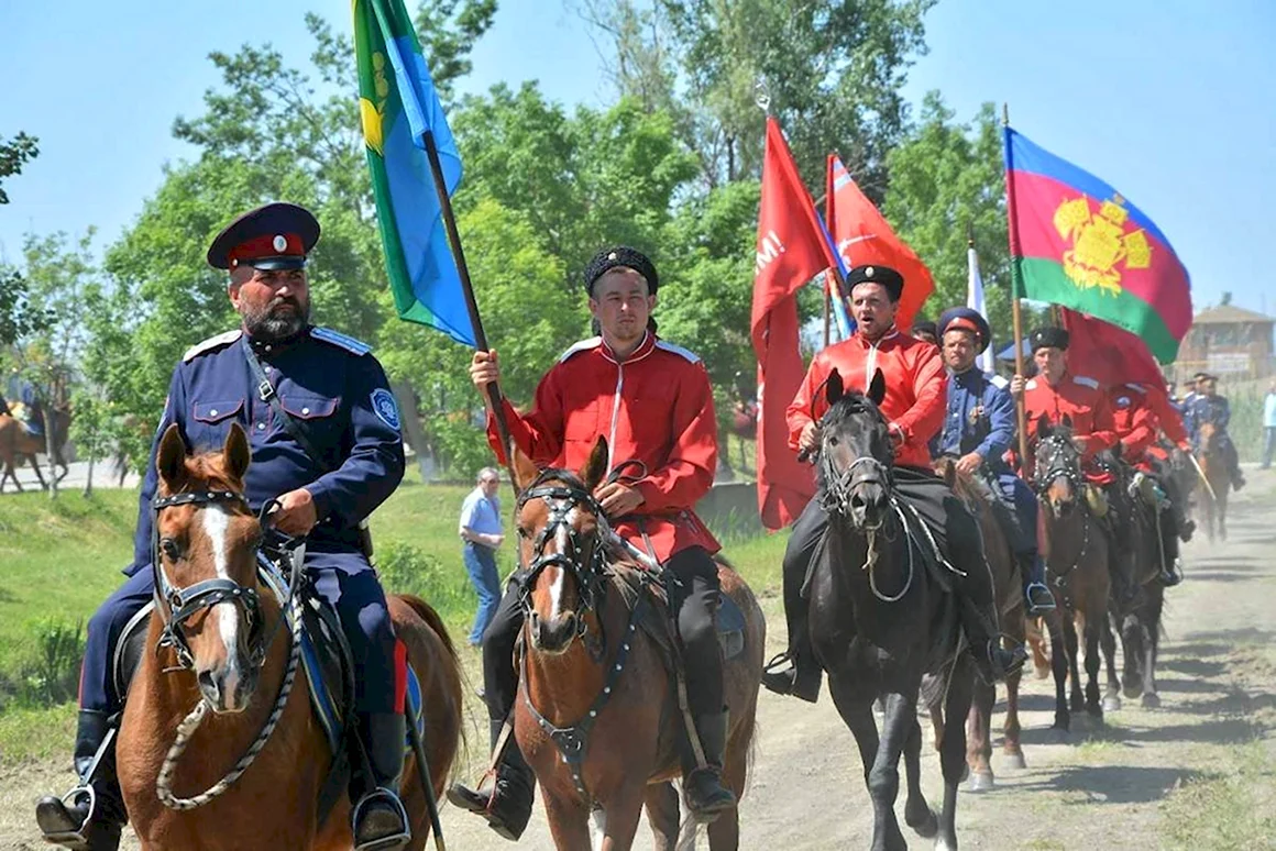 Казаки