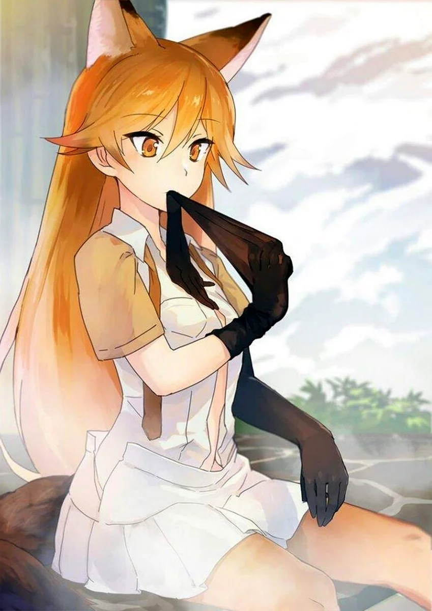 Kemono friends аниме лиса